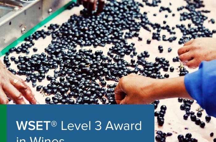 WSET Level 3 Award in Wines  